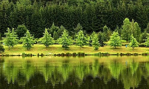 Tavi-Vendégház Őrség Szentgotthárd