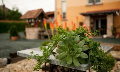 La Villa Pergola Szentgotthárd