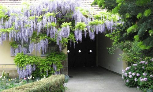 Lila Akác Vendégház Drégelypalánk