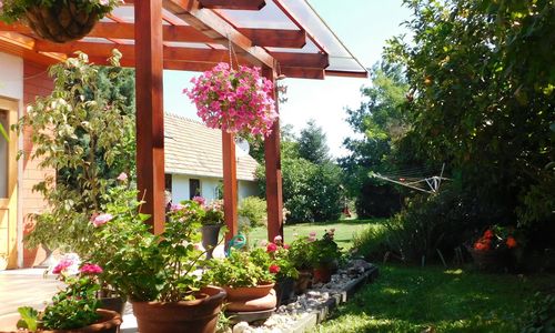 Rusztikus Apartmanház Látrány