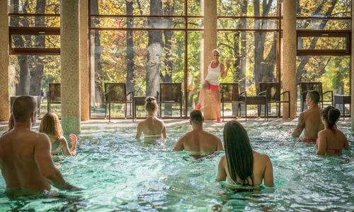 Wellness Hotel Gyula
