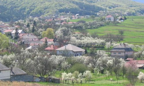 Papréte Vendégház Mályinka