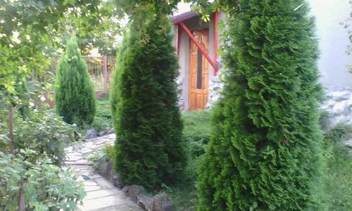 Pensiunea Péter Annamária & Géza Cristur