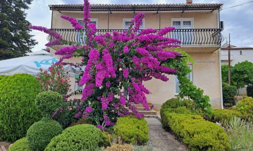 Apartman Zorić Biograd na Moru