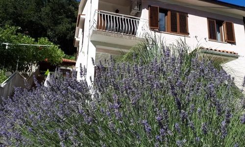 Apartman-Sobe Mikleus Mošćenička Draga