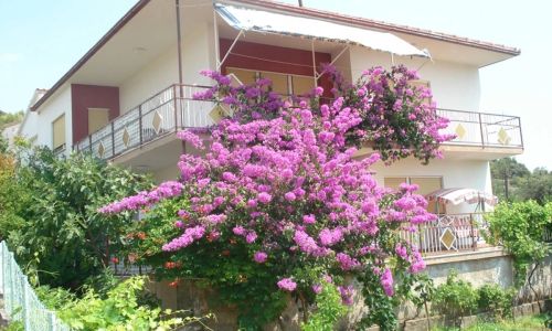 Apartments Kostovic Vinišće