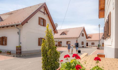 Zselicvölgy Szabadidőfarm Hajmás