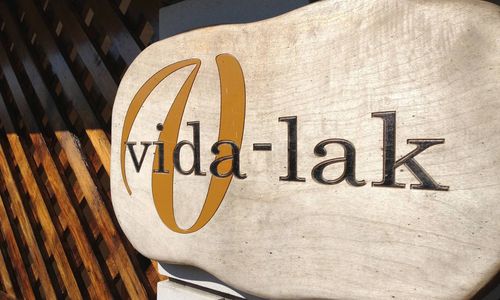 Vida-lak Berekfürdő