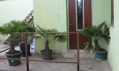 Kárpáti Motel Budapest