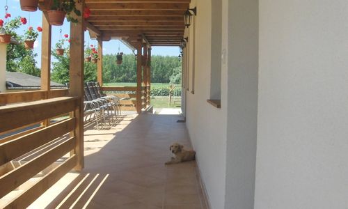 Kékszilva Vendégház Pap