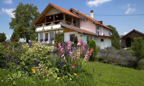 Apartmani Lavanda Rakovica