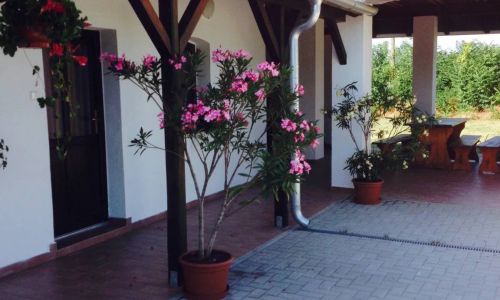 Jázmin Vendégház Homokbödöge