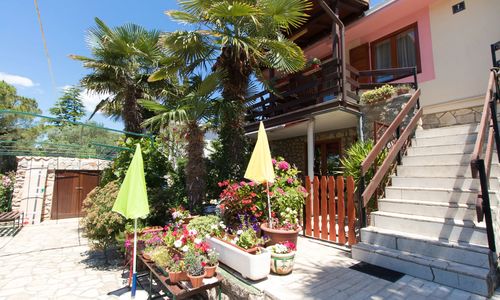 Apartment Paulina Cres