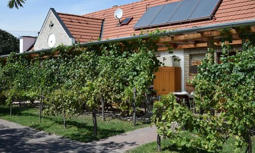 Luca Háza Panzió Feketeerdő