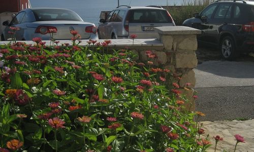 Apartmani Pavičić Marija Pag