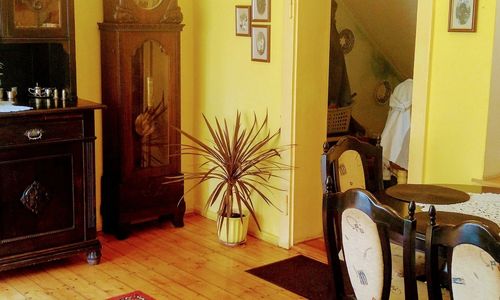 Apartament pod Cedrem Sobótka