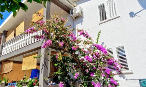 Apartment Daca Vir