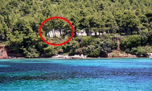 Apartmanok A Tenger Mellett Zuljana Peljesac - 10233 Žuljana