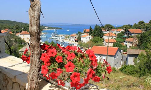 Apartmanok Internet Hozzáféréssel Zman Dugi Otok - 887 Žman