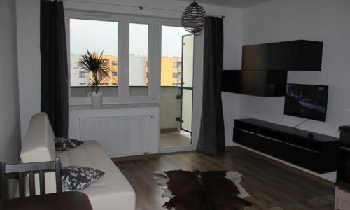 Apartment Wielicka Cracow