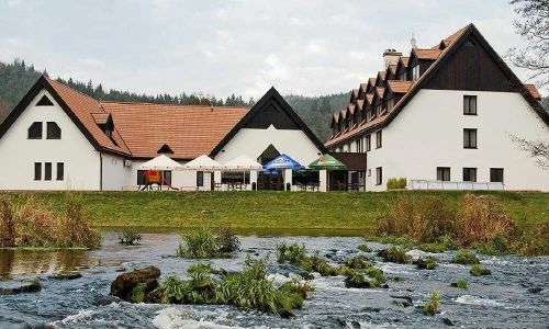 Hotel Vír