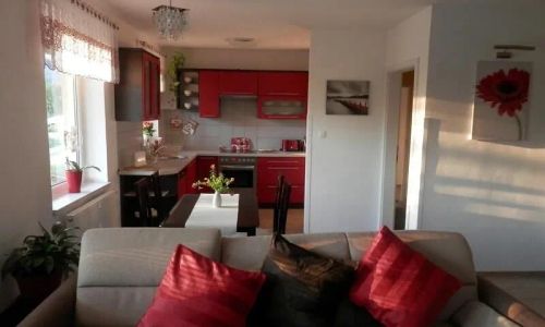 Apartmán a studio Boroví Srbsko