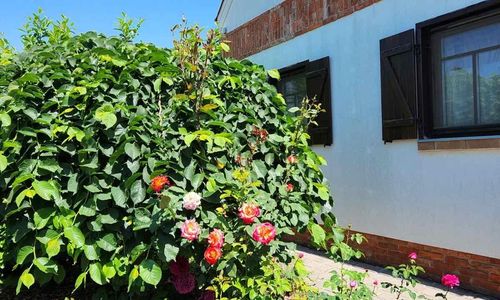 Vivien Vendégház 2 Berekfürdő