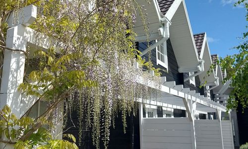 Bla Marine domki nad morzem Grzybowo