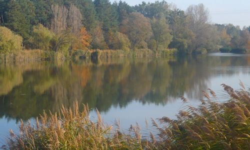 Jómadarak Üdülőház Veresegyház