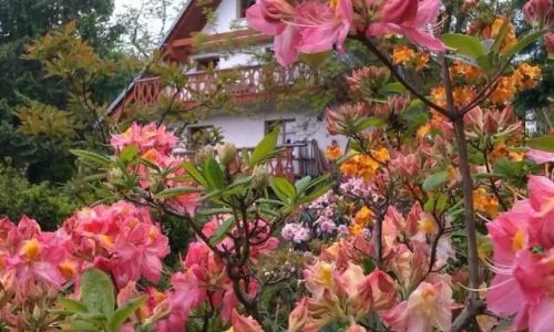 Gospodarstwo Agroturystyczne Kurosiówka Przesieka