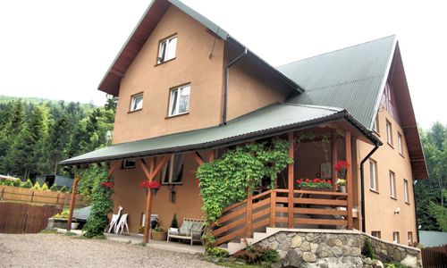 Jodełka w górach - Beskidy - Zawoja