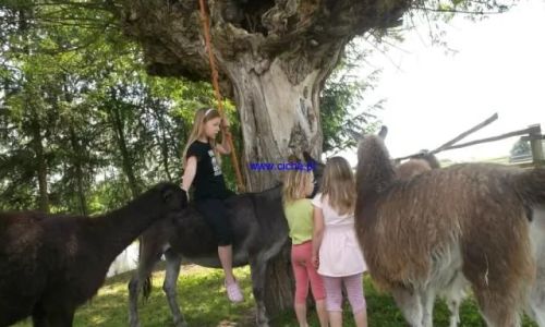 Pokoje gościnne w Brodnicy Brodnica