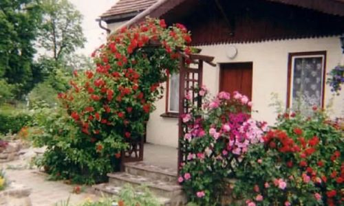 Gospodarstwo Agroturystyczne 'NATALIA' Chichy