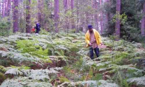 Leśniczówka Gusiołek Kopanki