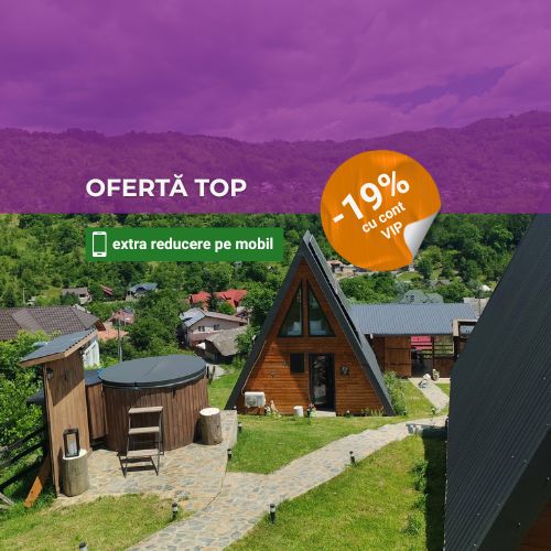 Carpatina Rustic House Runcu