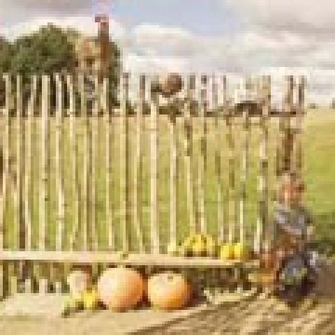 Gospodarstwo/ Czaplinek