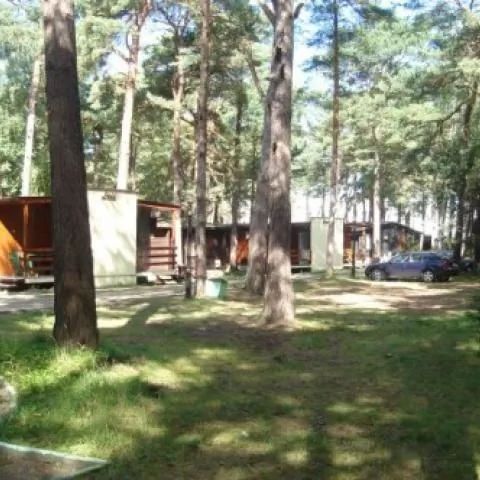 Ośrodek Wczasowo-Wypoczynkowy Terimex Pogorzelica