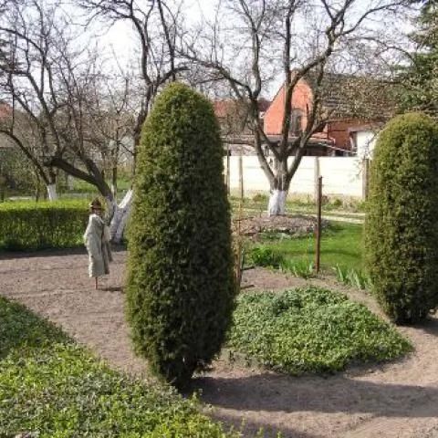 Domek U Kasi Darłowo