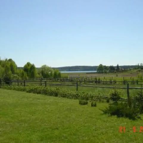 SOSNA 110/ Kwatery Prywatne Olsztyn