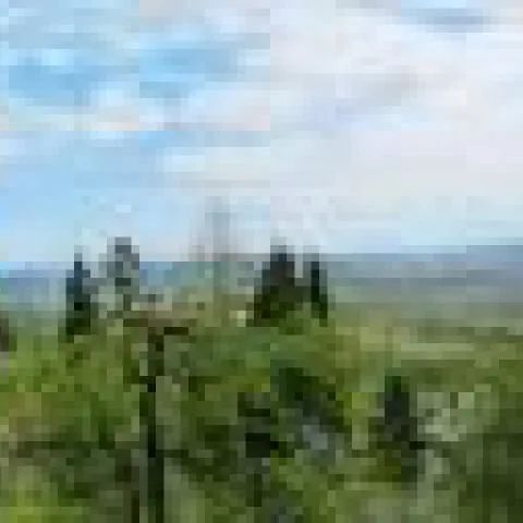 Willa Zamek/ Lanckorona