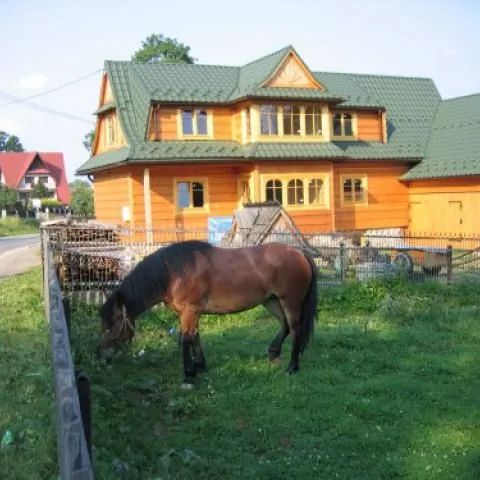 Wynajem pokoi / Bar Karolina Ciche