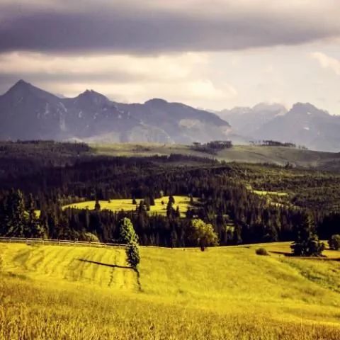 Pokoje Gościnne pod Giewontem Willa Anna /Kościelisko  Kościelisko