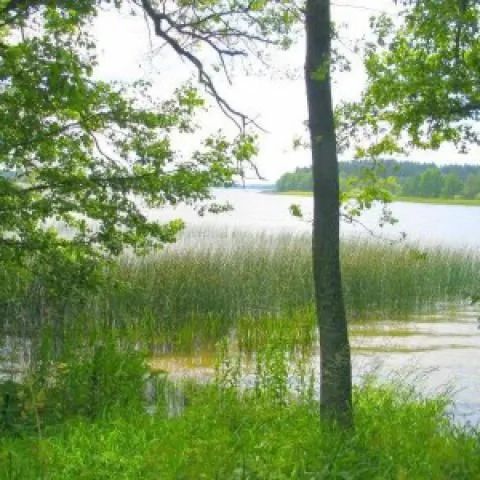 Agroturystyka Pod Kogutem Cierzpięty