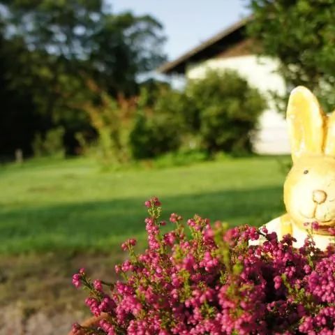 Agroturystyka Smrek Sokolec