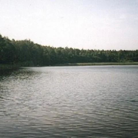 DOMKI POKOJE DO WYNAJĘCIA/ Jerutki