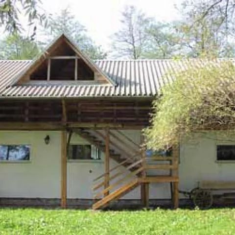 Gospodarstwo agroturystyczne, Stadnina koni "Stary Młyn" Michałowice
