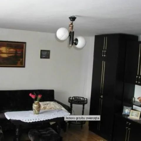 Gospodarstwo agroturystyczne Pod Dębem Prabuty