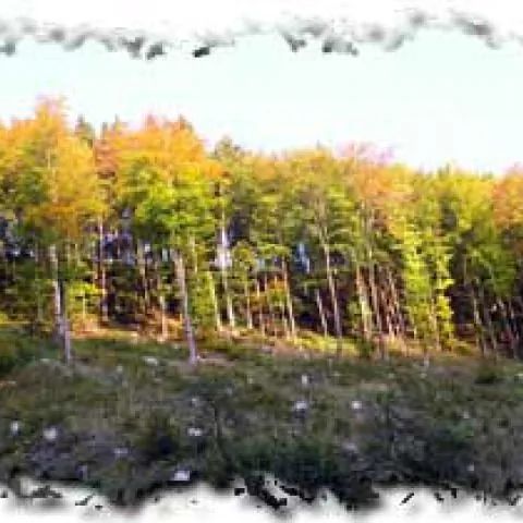 Hotel KORONA Mostowice