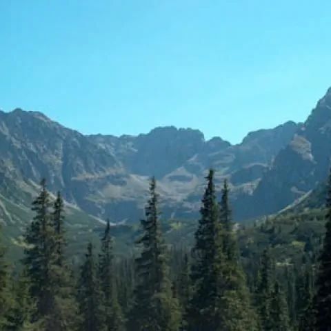 DOM POD SARNIĄ - ZAKOPANE