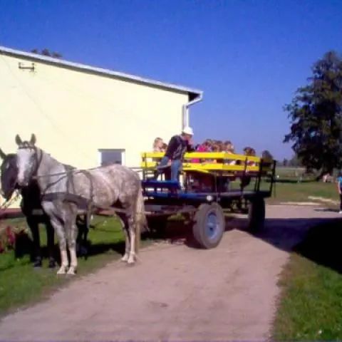 Gospodarstwo Agroturystyczne  z Hodowlą Koni  w Makowicy Makowica